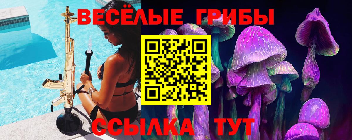 Фурманов  Псилоцибиновые грибы прущие грибы  Вход с VPN  Псилоцибиновые грибы Cubensis 